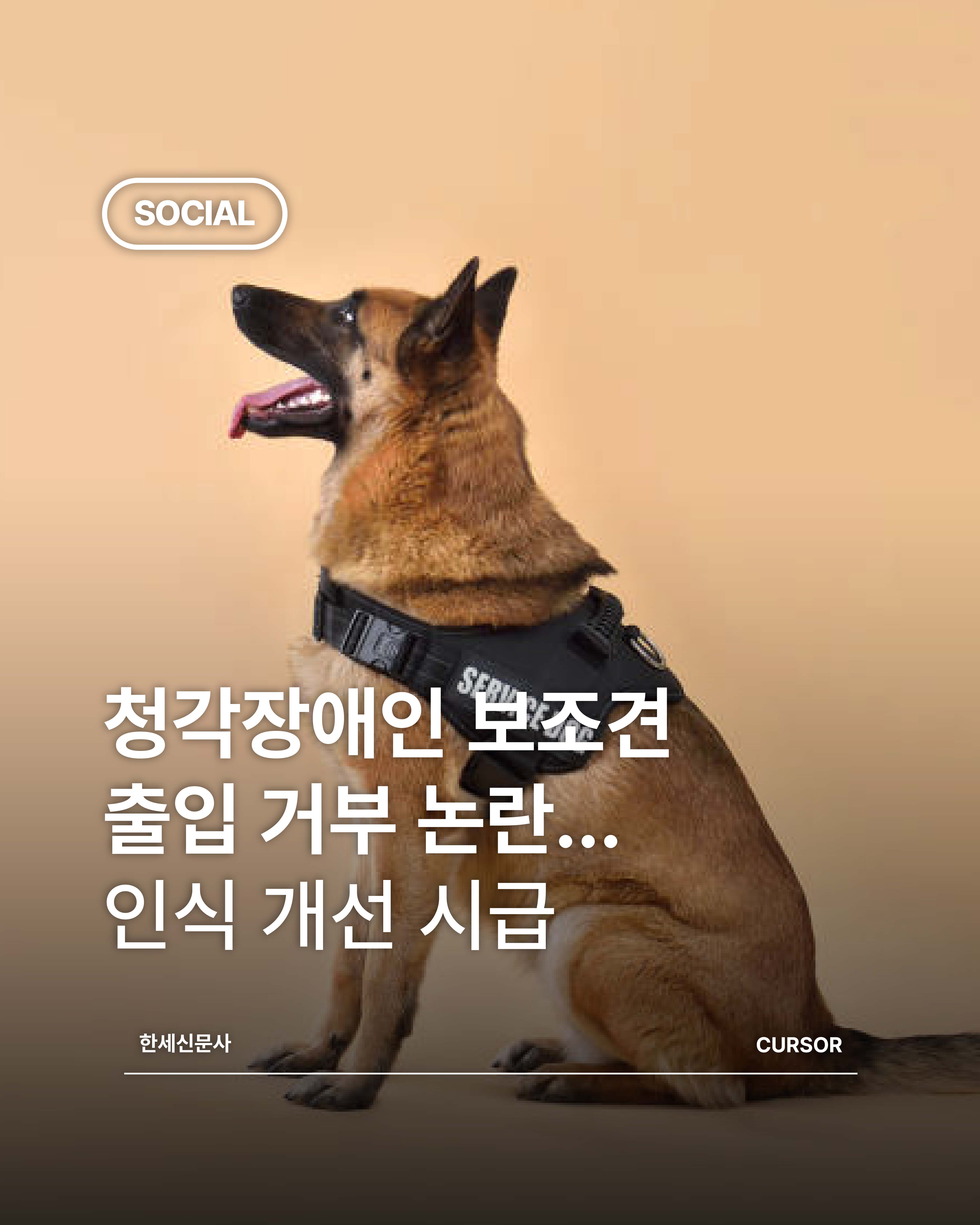 청각장애인 보조견 출입 거부 논란…인식 개선 시급  대표이미지